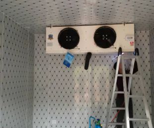 leyu乐鱼:红星冷链逆袭港股：2309倍超购！“亿元村”的产业突围与生存法则